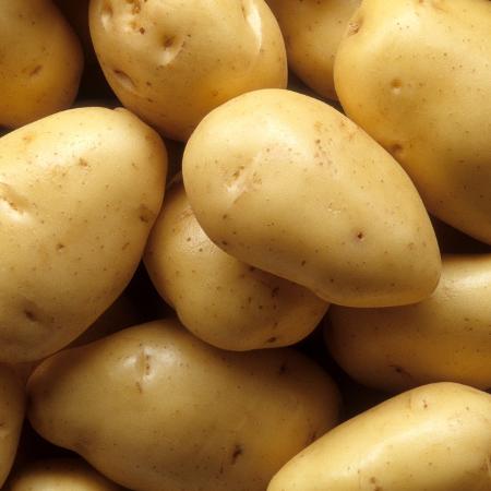Batata